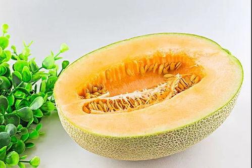 娱乐吃瓜养生,吃瓜养生两不误 第2张 娱乐吃瓜养生,吃瓜养生两不误 第2张