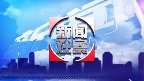 今日德州爆料新闻最新情况,重大事件引发社会关注
